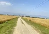 Prime 3.5 Bigha Land for Sale near the Sikara Viral Tree – Ideal for Industry, Factory & Plotting