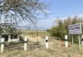 Prime 3.5 Bigha Land for Sale near the Sikara Viral Tree – Ideal for Industry, Factory & Plotting