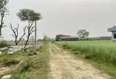 Land for Sale in Sainamaina-5, Baksad Dadha, Near Paschim Parroha School