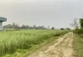 Land for Sale in Sainamaina-5, Baksad Dadha, Near Paschim Parroha School
