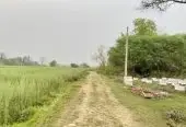 Land for Sale in Sainamaina-5, Baksad Dadha, Near Paschim Parroha School