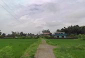 Land for Sale in Devdah, Khaireni | Way to Pakari Tree