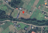 Land for Sale in Devdah, Khaireni | Way to Pakari Tree