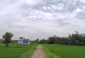 Land for Sale in Devdah, Khaireni | Way to Pakari Tree