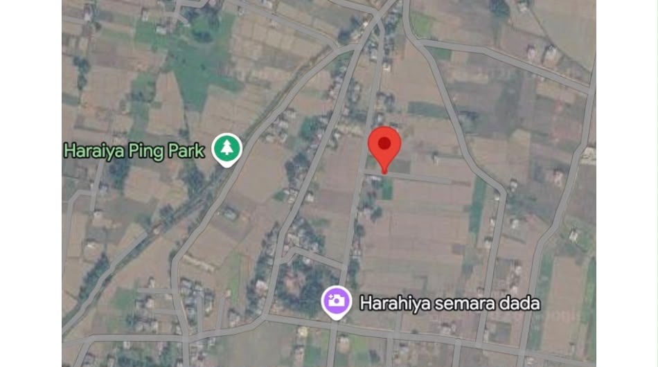 10 Dhur Land for Sale in Tilottama, Semara Dada