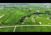 Land for Sale in Siyari Rupandehi | Prime Residential & Investment