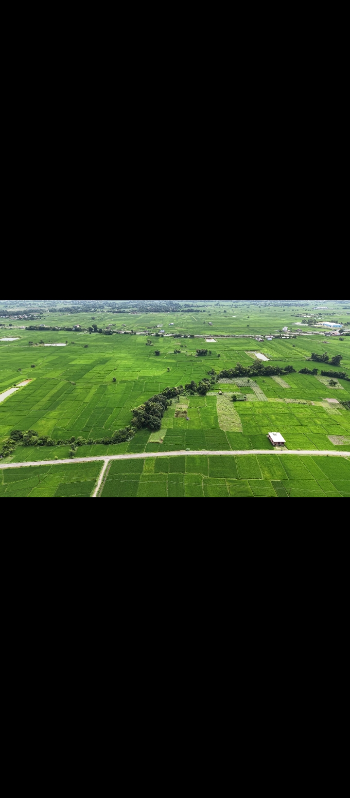 Land for Sale in Siyari Rupandehi | Prime Residential & Investment