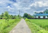 Land for Sale in Devdah, Khaireni | Way to Pakari Tree
