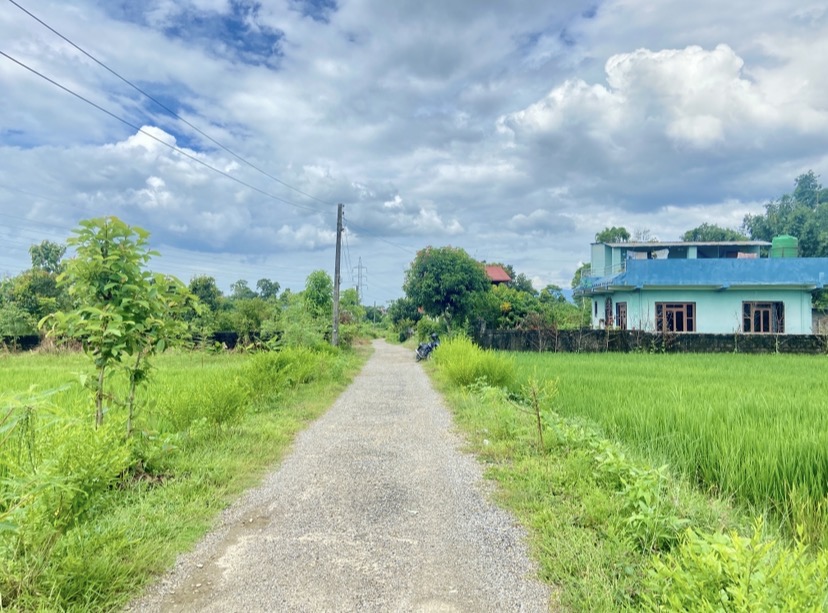 Land for Sale in Devdah, Khaireni | Way to Pakari Tree