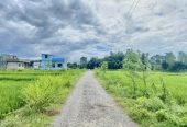 Land for Sale in Devdah, Khaireni | Way to Pakari Tree