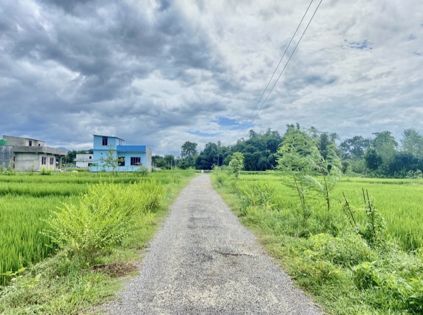 Land for Sale in Devdah, Khaireni | Way to Pakari Tree