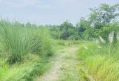 Land for sale near Gorkatta Bazaar Manigram Tilottama