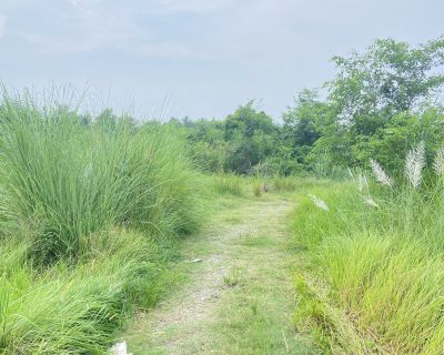 IMG_8560