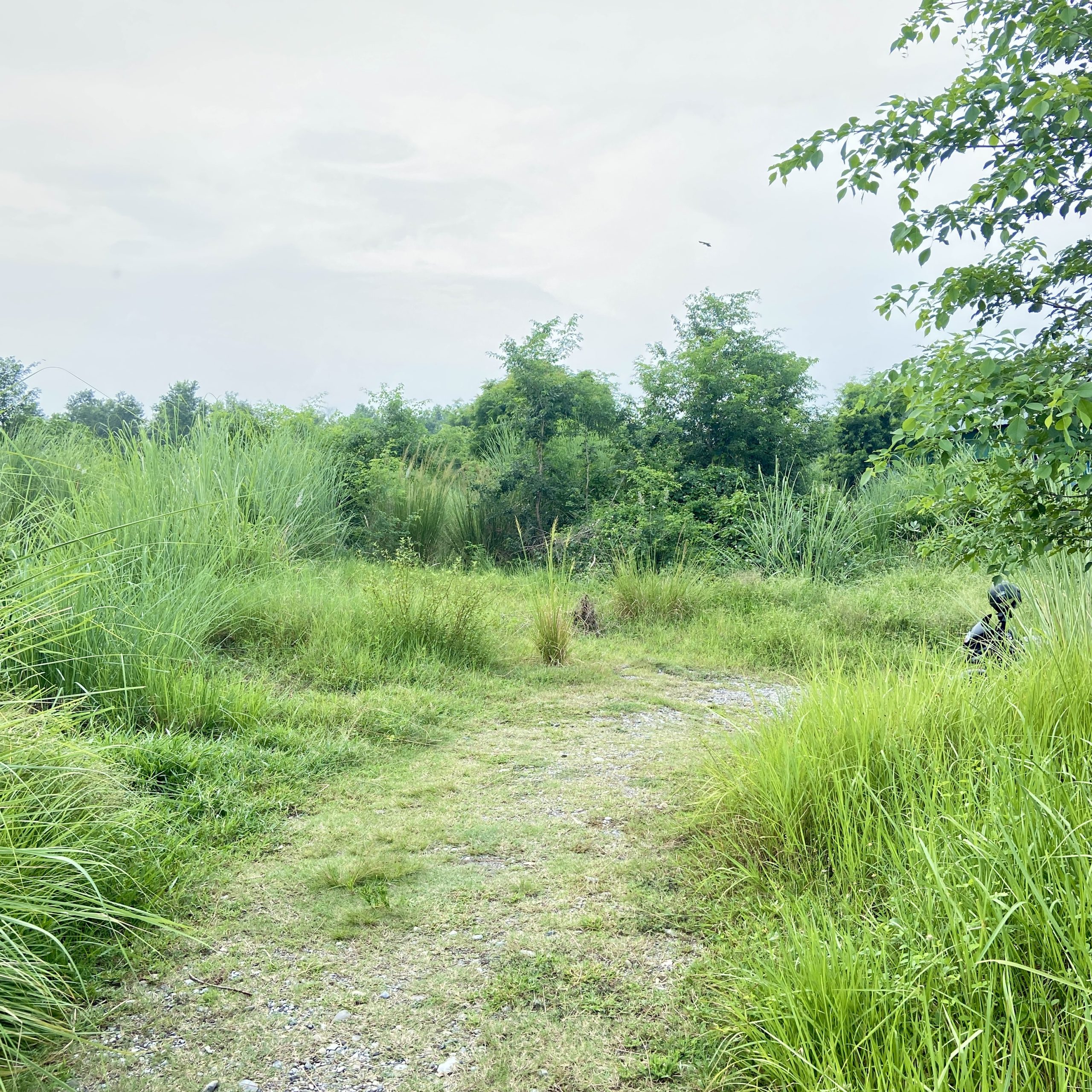 Land for sale near Gorkatta Bazaar Manigram Tilottama