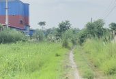 Land for sale near Gorkatta Bazaar Manigram Tilottama
