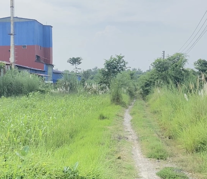 Land for sale near Gorkatta Bazaar Manigram Tilottama